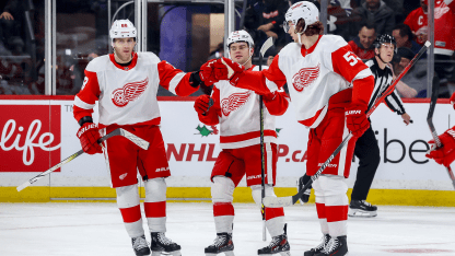 提供了全新 提供了全新